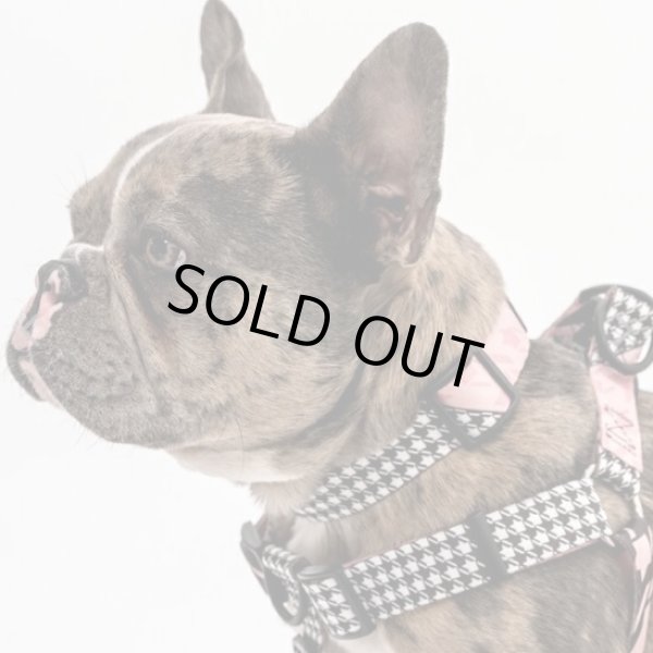 画像10: 【首輪】WOLF GANG /HoundsPink COLLAR (10)