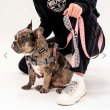 画像4: 【リード】WOLF GANG /HoundsPink LEASH (4)