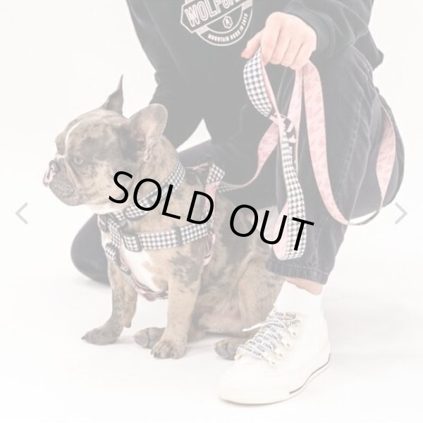 画像14: 【首輪】WOLF GANG /HoundsPink COLLAR (14)