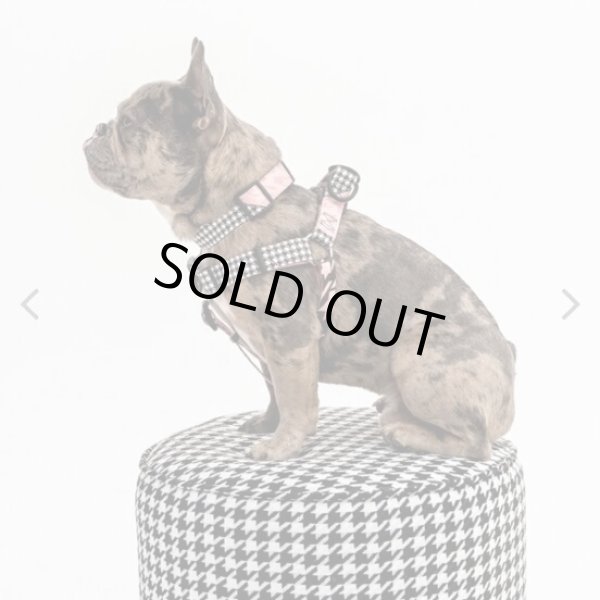 画像9: 【首輪】WOLF GANG /HoundsPink COLLAR (9)