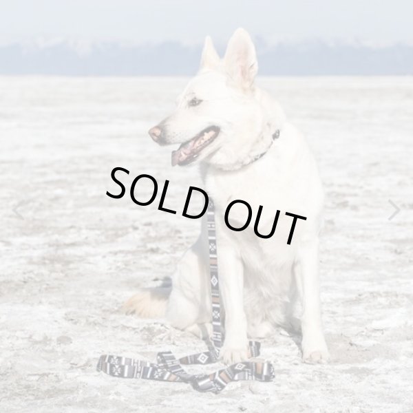 画像2: 【リード】WOLF GANG /NewMoon LEASH (2)