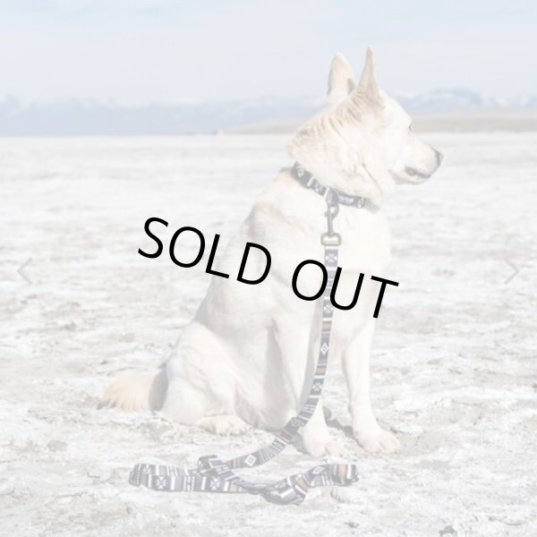 画像5: 【リード】WOLF GANG /NewMoon LEASH (5)