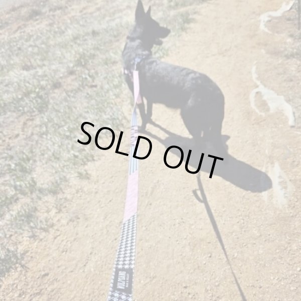 画像16: 【首輪】WOLF GANG /HoundsPink COLLAR (16)