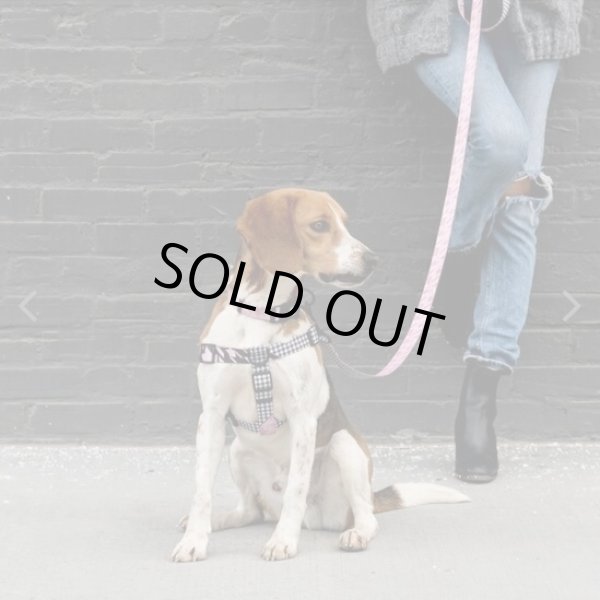 画像4: 【首輪】WOLF GANG /HoundsPink COLLAR (4)