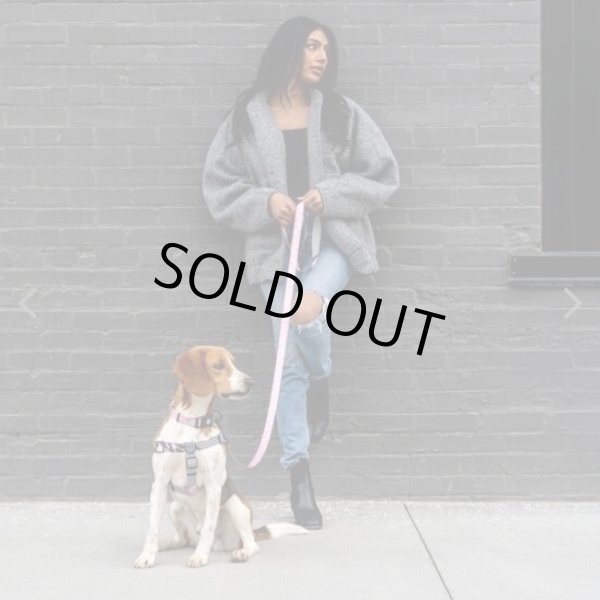 画像5: 【首輪】WOLF GANG /HoundsPink COLLAR (5)