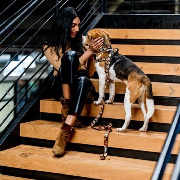 画像4: 【首輪】WOLF GANG /MugShot COLLAR (4)