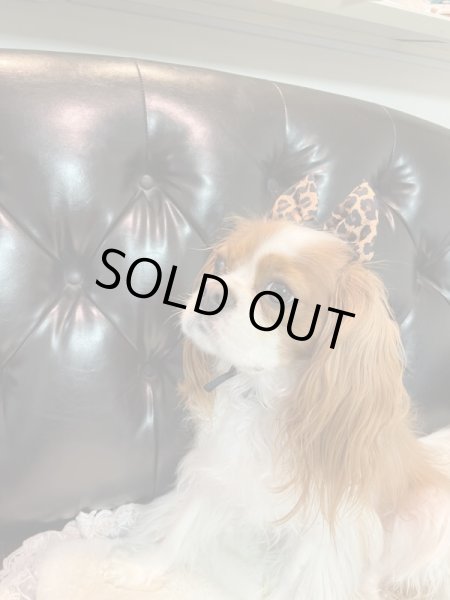 画像2: キャバスーツ☆リボンカチューシャ：ジャガー (2)