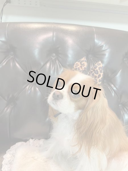 画像3: キャバスーツ☆リボンカチューシャ：ジャガー (3)