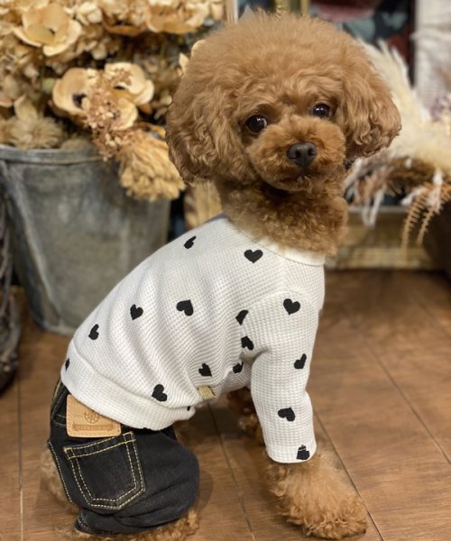 画像11:  【30％OFF】 【as know as de wan】ＮハートワッフルロンＴ お着替えシリーズ (11)