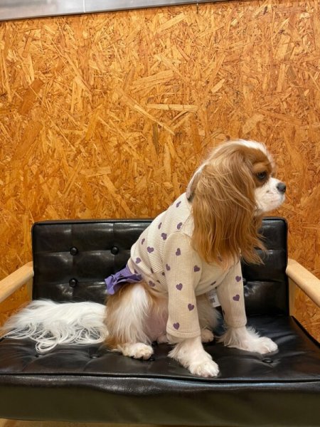 画像8:  【30％OFF】 【as know as de wan】ＮハートワッフルロンＴ お着替えシリーズ (8)