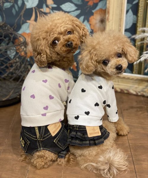 画像14:  【30％OFF】 【as know as de wan】ＮハートワッフルロンＴ お着替えシリーズ (14)