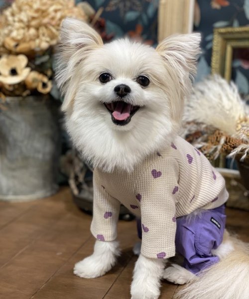 画像25:  【30％OFF】 【as know as de wan】ＮハートワッフルロンＴ お着替えシリーズ (25)