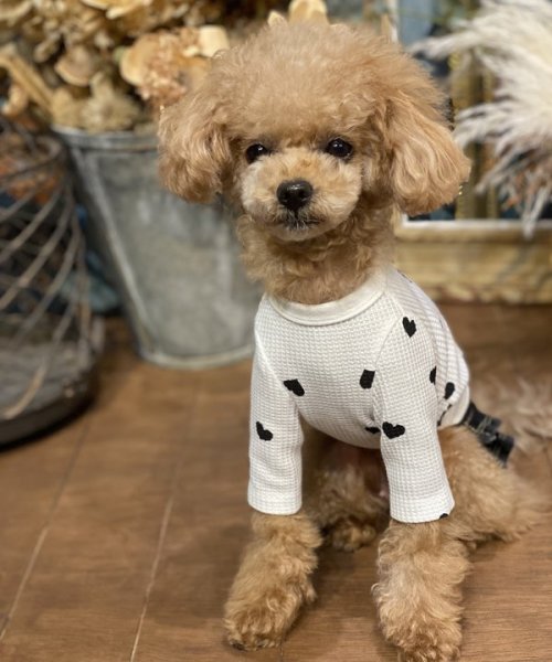 画像12:  【30％OFF】 【as know as de wan】ＮハートワッフルロンＴ お着替えシリーズ (12)