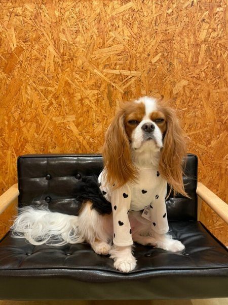 画像7:  【30％OFF】 【as know as de wan】ＮハートワッフルロンＴ お着替えシリーズ (7)