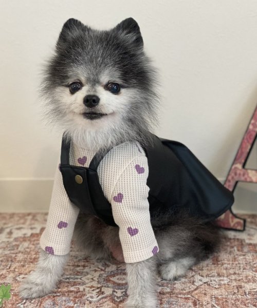 画像19:  【30％OFF】 【as know as de wan】ＮハートワッフルロンＴ お着替えシリーズ (19)