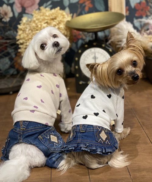 画像17:  【30％OFF】 【as know as de wan】ＮハートワッフルロンＴ お着替えシリーズ (17)