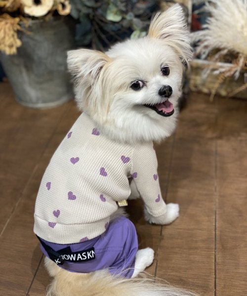 画像24:  【30％OFF】 【as know as de wan】ＮハートワッフルロンＴ お着替えシリーズ (24)