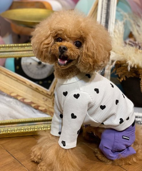 画像13:  【30％OFF】 【as know as de wan】ＮハートワッフルロンＴ お着替えシリーズ (13)