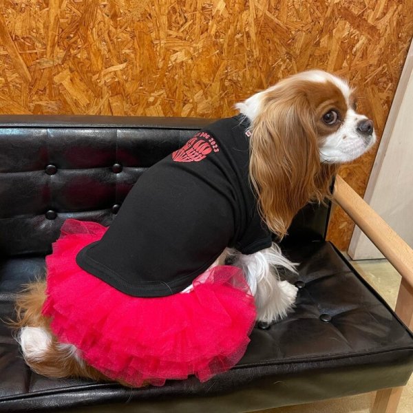 画像7:  SALE30%OFF インナーチュチュ (7)