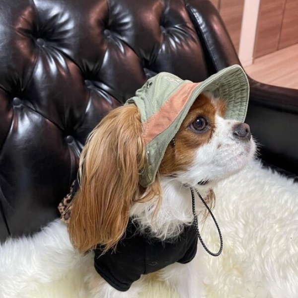 画像12: イヌクロ刺繍ハット (12)