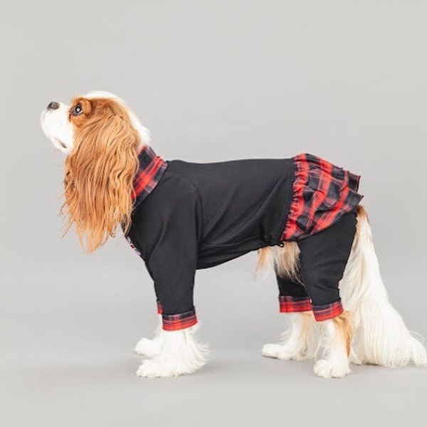 画像6:  3月新作 【キャバスーツ FRILL】キャロルチェック (6)