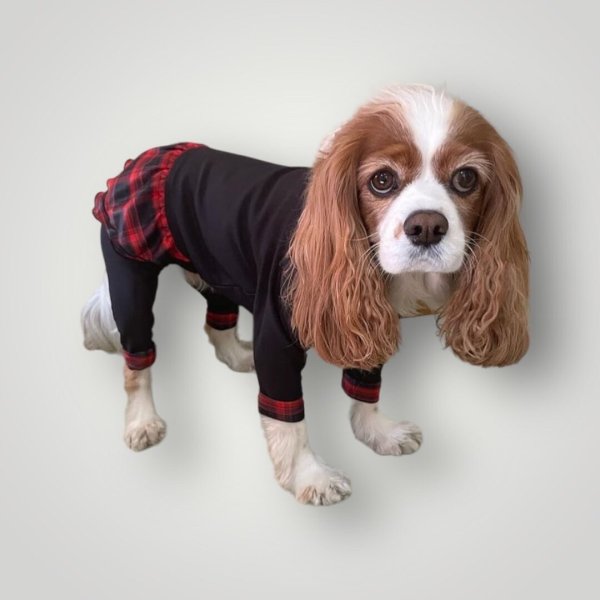 画像3:  3月新作 【キャバスーツ FRILL】キャロルチェック (3)