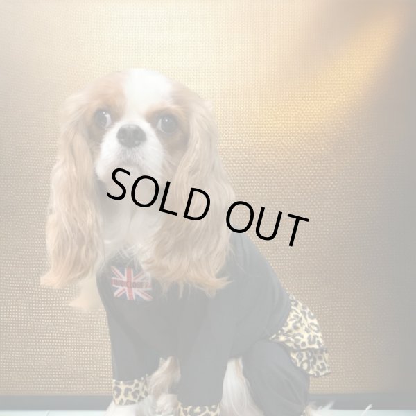 画像5:  10％OFF 【キャバスーツ FRILL】BLACK JAGUAR (5)