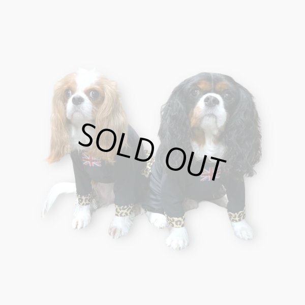 画像3:  10％OFF 【キャバスーツ FRILL】BLACK JAGUAR (3)