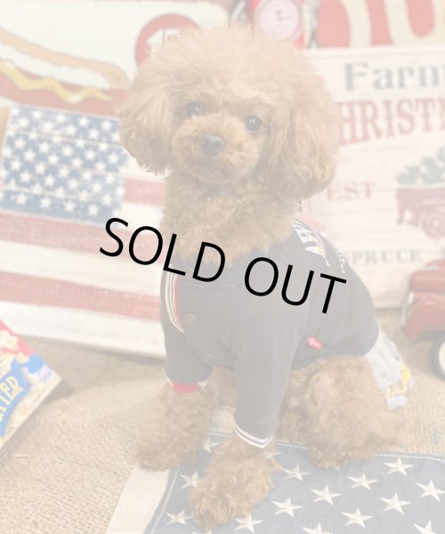 画像11:  【30％OFF】 【as know as de wan】Ｎイーグルリメイク☆CD お着替えシリーズ (11)