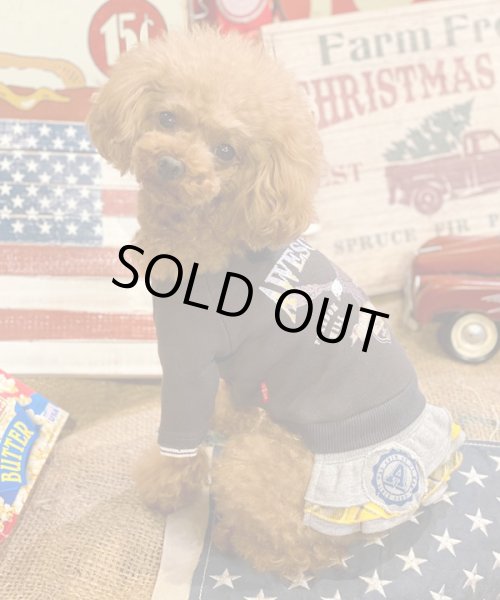 画像9:  【30％OFF】 【as know as de wan】Ｎイーグルリメイク☆CD お着替えシリーズ (9)