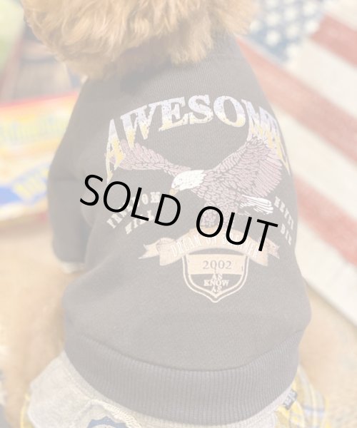 画像10:  【30％OFF】 【as know as de wan】Ｎイーグルリメイク☆CD お着替えシリーズ (10)