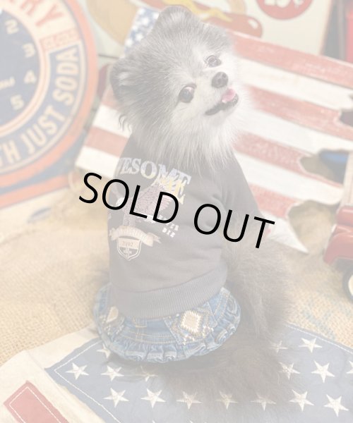 画像13:  【30％OFF】 【as know as de wan】Ｎイーグルリメイク☆CD お着替えシリーズ (13)