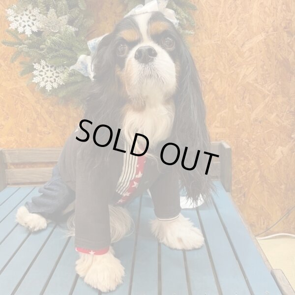 画像3:  【30％OFF】 【as know as de wan】Ｎイーグルリメイク☆CD お着替えシリーズ (3)