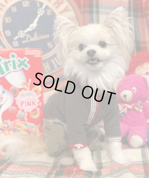 画像8:  【30％OFF】 【as know as de wan】Ｎイーグルリメイク☆CD お着替えシリーズ (8)