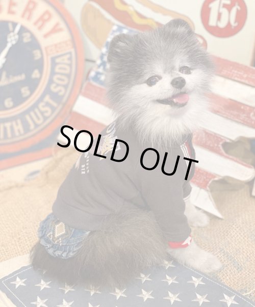 画像14:  【30％OFF】 【as know as de wan】Ｎイーグルリメイク☆CD お着替えシリーズ (14)