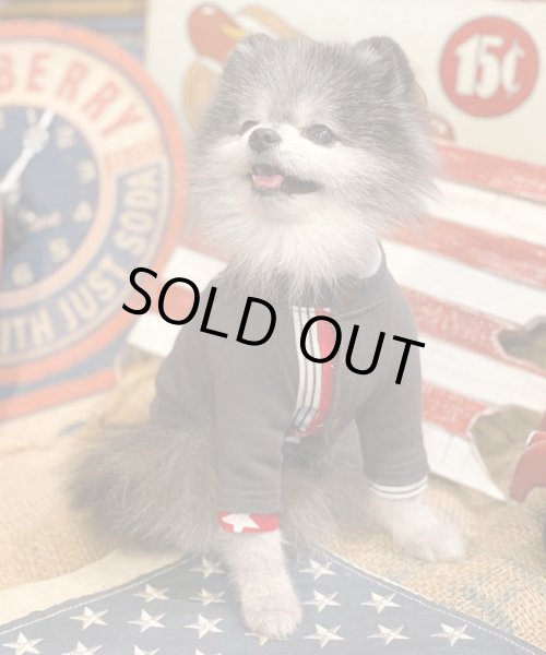 画像15:  【30％OFF】 【as know as de wan】Ｎイーグルリメイク☆CD お着替えシリーズ (15)