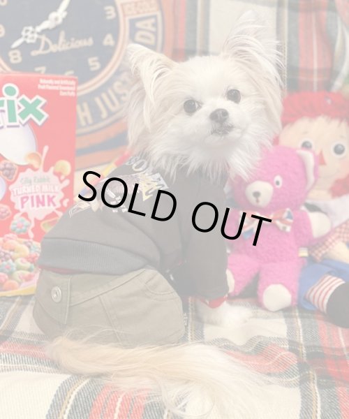 画像7:  【30％OFF】 【as know as de wan】Ｎイーグルリメイク☆CD お着替えシリーズ (7)