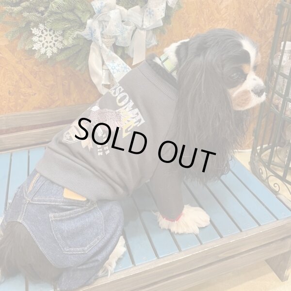 画像2:  【30％OFF】 【as know as de wan】Ｎイーグルリメイク☆CD お着替えシリーズ (2)