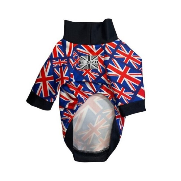 画像2:  30％OFF 【CAVA TEE】UK ORIGINAL (2)