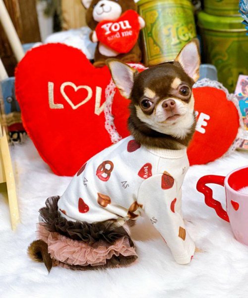 画像31:  【30％OFF】 【as know as de wan】ＮチョコチュチュＳＫ (31)