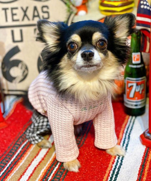 画像11:  【30%OFF】 【as know as de wan】NビッグワッフルロンT (11)