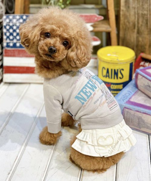 画像21:  【30%OFF】 【as know as de wan】N☆NEWYORKロンT (21)