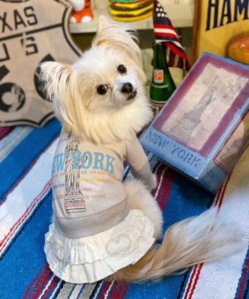 画像13:  【30%OFF】 【as know as de wan】N☆NEWYORKロンT (13)