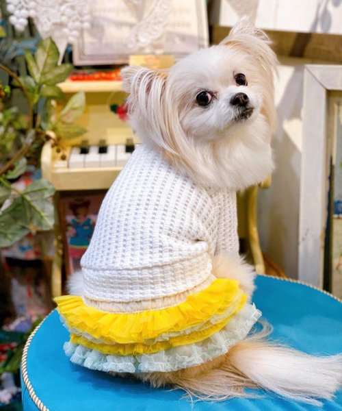 画像15:  【30%OFF】 【as know as de wan】NビッグワッフルロンT (15)