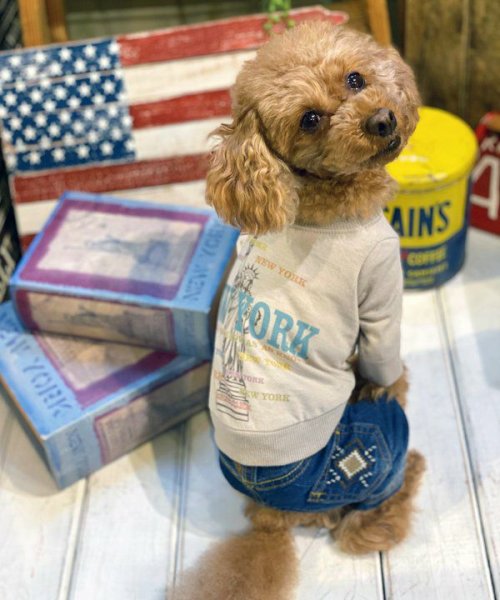 画像17:  【30%OFF】 【as know as de wan】N☆NEWYORKロンT (17)