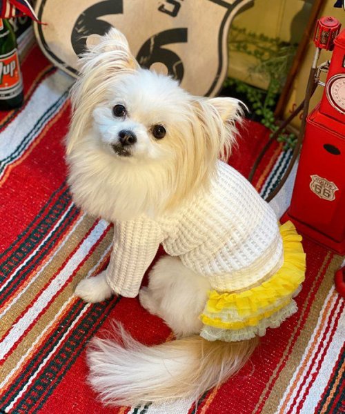 画像12:  【30％OFF】 【as know as de wan】ＮチョコチュチュＳＫ (12)