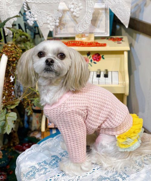 画像12:  【30%OFF】 【as know as de wan】NビッグワッフルロンT (12)