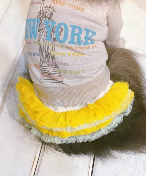 画像9:  【30％OFF】 【as know as de wan】ＮチョコチュチュＳＫ (9)