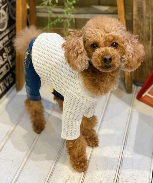 画像19:  【30%OFF】 【as know as de wan】NビッグワッフルロンT (19)