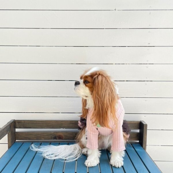 画像7:  【30%OFF】 【as know as de wan】NビッグワッフルロンT (7)